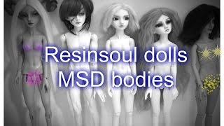 Resinsoul BJD MSD size bodies overview. Alternatives in the description