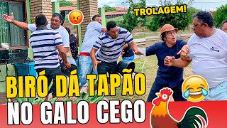 BIRÓ DERRUBA GALO CEGO NO TAPA! | BIG BOGA BRASIL DO MUÇÃO