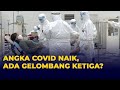 Kasus Covid-19 Naik, Akankah Terjadi Gelombang Ketiga?