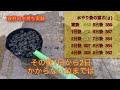 何それ！？誰も使った事ない多肉・塊根植物にピッタリな園芸資材紹介！