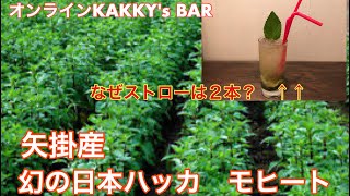 029 矢掛産日本ハッカ　モヒート Japanese peppermint Mojito