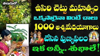 ఉసిరి చెట్టు మహత్యం, ఒక్కసారైనా వింటే చాలు 1000 అశ్వమేథయాగాలు చేసిన పుణ్యఫలం | usiri chettu|KSK Home