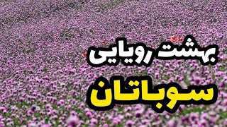 سوباتان بهشت رویاییه تالش😍❤تا حالا رفتین؟! #سوباتاتل#سوباتا_تالش #ییلاق_سوباتان #گیلان