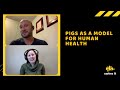 Pigs as a model for human health - Dr. Dan Columbus