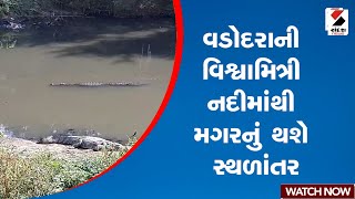 Vadodara | વડોદરાની વિશ્વામિત્રી નદીમાંથી મગરનું થશે સ્થળાંતર | Gujarat