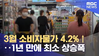 3월 소비자물가 4.2%↑‥1년 만에 최소 상승폭 (2023.04.04/뉴스데스크/MBC)