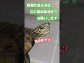 ニュースにツッコミを入れるかめきち🐢 short 亀 ペット 可愛い バズる turtle ニュース ツッコミ ウケる 爬虫類 流行る 面白い 爆笑 おもしろい 楽しい かめ