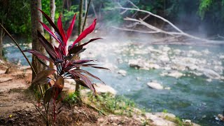 The Hike in the Jungle. Peru, Welcome to Amazon Jungle! Part 2