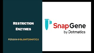 آموزش عملی کلونینگ با نرم افزار اسنپ جین 2 - انتخاب Restriction enzyme مناسب (Snapgene tutorial)