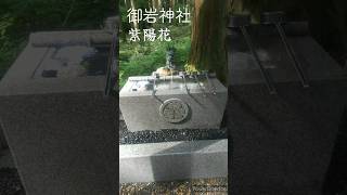 紫陽花の花が涼しげでした  茨城のパワースポット御岩神社