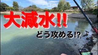 【バス釣り】大減水した池であのワーム使ったら！