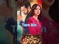 top 10 best most watched pakistani dramas ost coversong pakistanidrama trending viralvideo happy