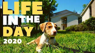 life in the day | 25th July 2020 | North Carolina