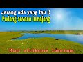 PESONA Savana Di JALUR LINTAS SELATAN | PADANG SAVANA PANDANWANGI LUMAJANG