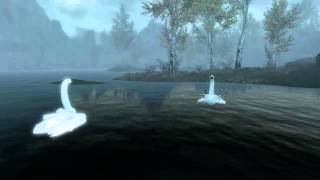 Skyrim Daily Mod Shout Out #153 Ducks and Swans for Skyrim