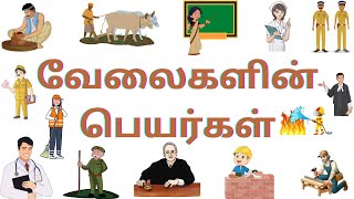 தொழில்கள்,Occupation Name list in Tamil\u0026 english,வேலைகளின் பெயர்கள் tamil \u0026 english,kids vibe.....