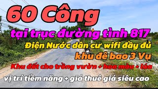 (Số 632) Bán 60 Công đất lúa cực đẹp - giá cho thuê 💥 40 - 60 triệu / 1ha /1 năm LH 0949 394 622