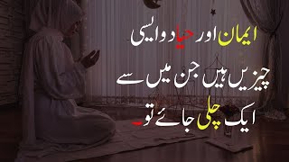 Emaan Aur Haya Do Aisi Cheain Hain Aik Chali Jae To... | Amazing Islamic Quotes In Hindi urdu