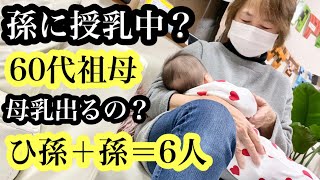 【60代祖母、孫に授乳中？】母乳って出るの？(大家族,生後11ヶ月生後2ヶ月赤ちゃん)