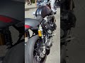 coolest thruxton rs shortsviral thruxtonrs bikersride