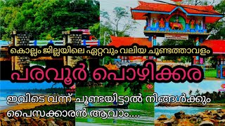 കൊല്ലം പരവൂരിൽ ഒരു അടിപൊളി സ്ഥലം.. / #പരവൂർ  #പൊഴിക്കര #malaylam #Kollam #paravoor #shortvideo