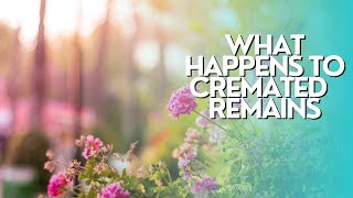 What Happens To Cremated Remains #serenefarewells