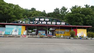 2023/07/14 宮崎市フェニックス自然動物園 チャチャ丸のおばあちゃんに会う