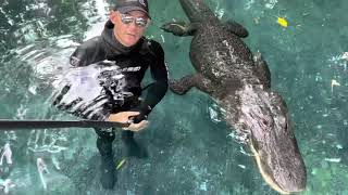Did you know crocodilians have an amazing memory? Here’s why!