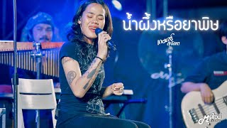 น้ำผึ้งหรือยาพิษ - วงผู้หญิง By เกมส์ สุจิตรา ตลาดใจ#3「Live version at ตลาดเมืองใหม่ by IQ」สุรินทร์