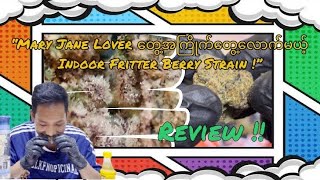 Honest Weed Review: Is It Worth the Hype? 🌿🔥