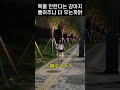 목줄 싫다는 댕댕이.. 풀어줬는데 더 우는 까닭