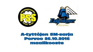 ATSM Pss - ErVi maalikooste