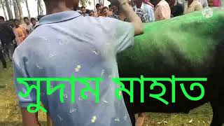 হুড়া কেশব পুর সুদাম মাহাত কাড়া