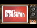 What is a Business Incubator? 🤔