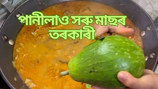 কুমলীয়া পানীলাও লগত সৰু মাছৰ বিভিন্ন সোৱাদ । Small fish with bottle gourd | small Fish curry |