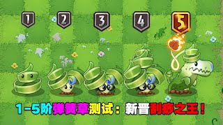 PVZ：1-5阶公主弹簧草测评：普通攻击低到离谱！但却是无尽神器？【庄先森解说】