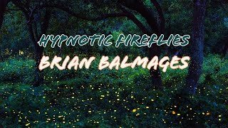 Hypnotic Fireflies by Brian Balmages (Rehearsal Track)