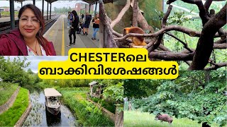 അങ്ങനെ CHESTERലെ എന്റെ SOLO TRIP ഇന്നു തീരുന്നു | CHESTER AMPHITHEATRE | CHESTER ZOO |RETURN JOURNEY