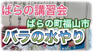 バラの講習会　水やり　「ばらのまち福山」