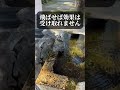 この動画に出会えたあなたは超強運の持ち主です🐉🌈   スピリチュアル  龍神  波動