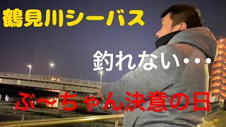 【鶴見川シーバス】最近の鶴見川はどう？