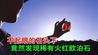 太幸运了，一块普通石头下发现稀有欧泊石，纪录片【 神探科普局】