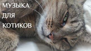 Music for cats, help cats sleep * Музыка для котиков, поможем котикам уснуть