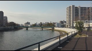 【Dji Osmo Pocket散歩】広島天満川上流コース#a walk in Hiroshima