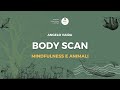 Body Scan