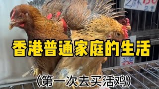 今天跟婆婆第一次在香港买活鸡