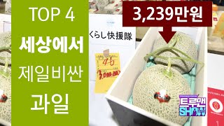 세상에서 제일 비싼 과일 TOP 4 /The world's top 4 most expensive fruits