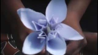 DIY origami craft ideas. Beautiful Paper Flower. Easy and simple hobby decorations.