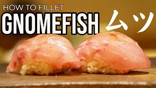 【寿司職人の業】クロムツ 捌き～握り How To Make GnomeFish Sushi(Japanese Sushi Master)