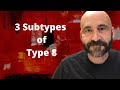 Enneagram: Subtypes of Type 8